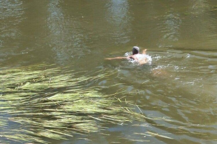Водорості замість пляжу: що кажуть лучани про стан річки Стир (Відео)