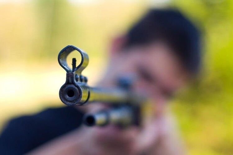 У Луцьку винесли вирок пенсіонеру, який застрелив собаку з пневматичної гвинтівки