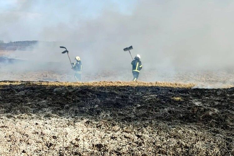 Волинська земля знову у вогні — недбалі господарі продовжують її нищити