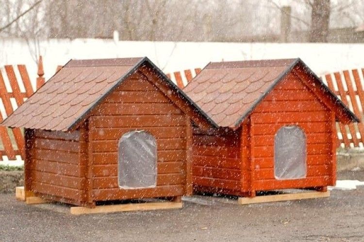 Собаколюби з Гіркої Полонки подарували луцьким псам відразу сім будок