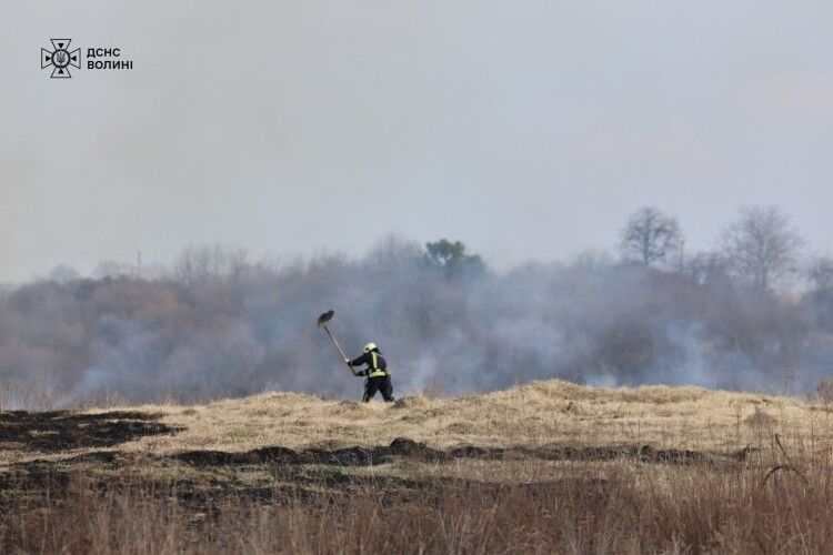 Згоріло півтора гектара трави: на Волині знову виявили палійку 