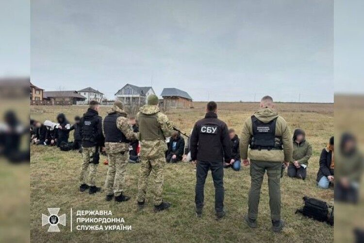 Ухилянти заплатили 340 тисяч доларів водієві за вивезення України