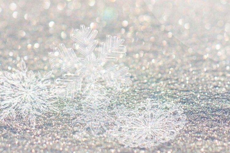 Мороз та ковзанка: якою буде погода на Волині