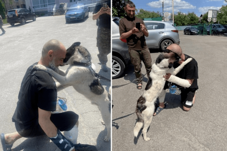 Пес нічого не їв: врятований воїном з Рівного собака, не міг дочекатися пораненого господаря (Фото)