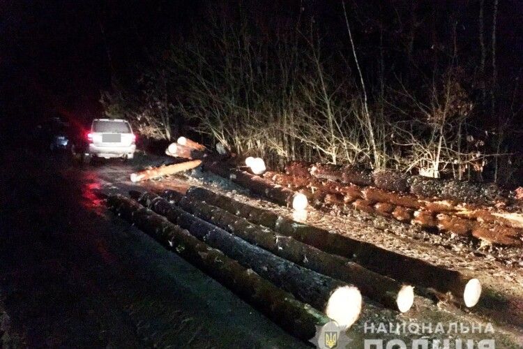 На Рівненщині крадії деревини побили інженера лісової охорони