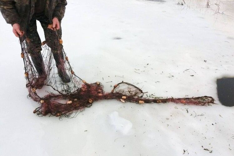 У зимувальних ямах Стоходу знайшли 15 браконьєрських сіток 