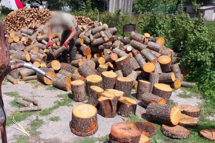  19-річний волинянин незаконно нарубав дерев на 40 тисяч гривень (Фото)