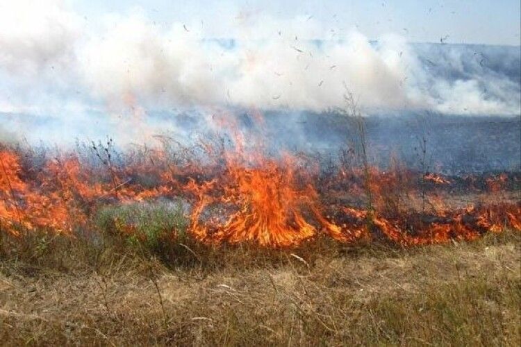 Які штрафи загрожують волинянам цьогоріч за паління сухої трави