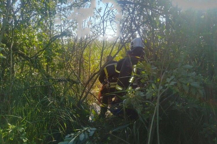 По пояс в трясовині: на Волині рятувальники прийшли на допомогу чоловіку, який заблукав і застряг на болоті