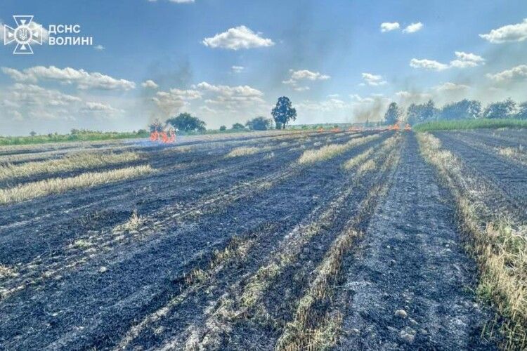 Волинянин ледве не спалив зернове поле