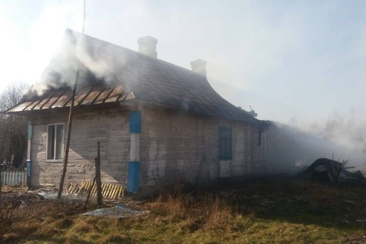 У селі Яполоть хату атакував червоний півень (фото)