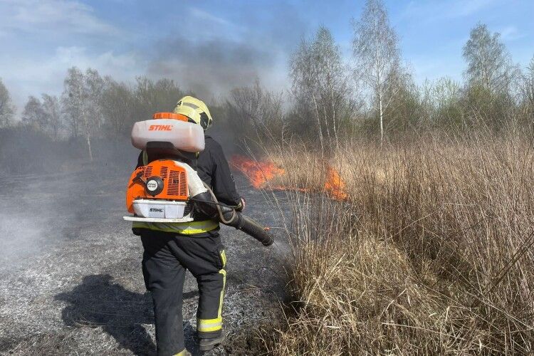 На Волині упіймали молоду підпалювачку сухої трави
