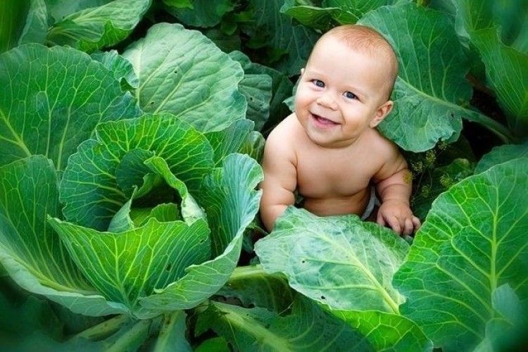 Позитивний приріст населення маємо лише в Луцьку