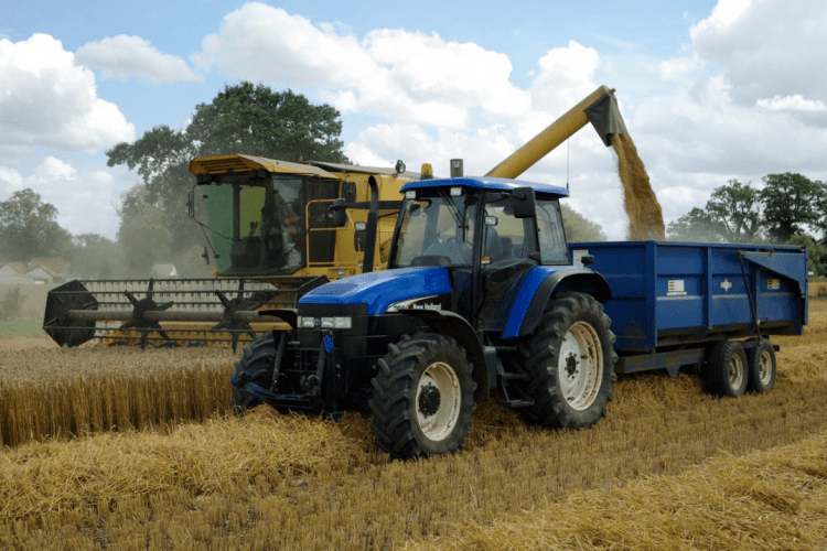 ООН запустила проєкт підтримки українських аграріїв