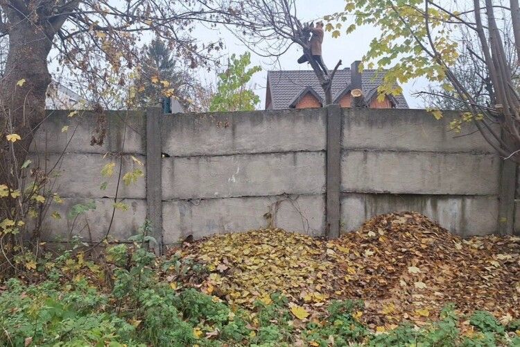 Лучанин отримав протокол за «прибирання» свого подвір'я