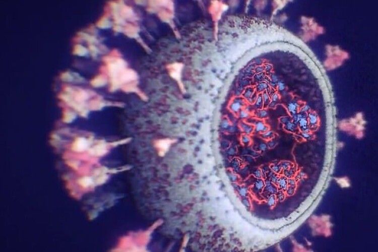 Світом шириться новий штам коронавірусу: його легше підхопити, але це менш небезпечно