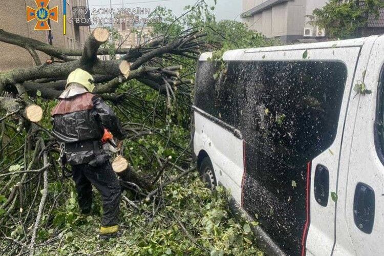 На Волині сильний дощ із градом... «вимив» із землі картоплю (Фото. Відео)