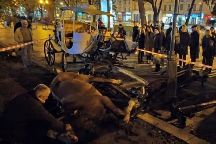 Налякані феєрверком коні травмували двох людей у центрі Львова