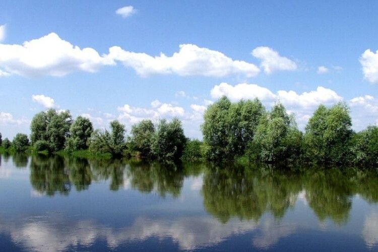 В Берестечку домовлялись, як гуртом рятувати Стир