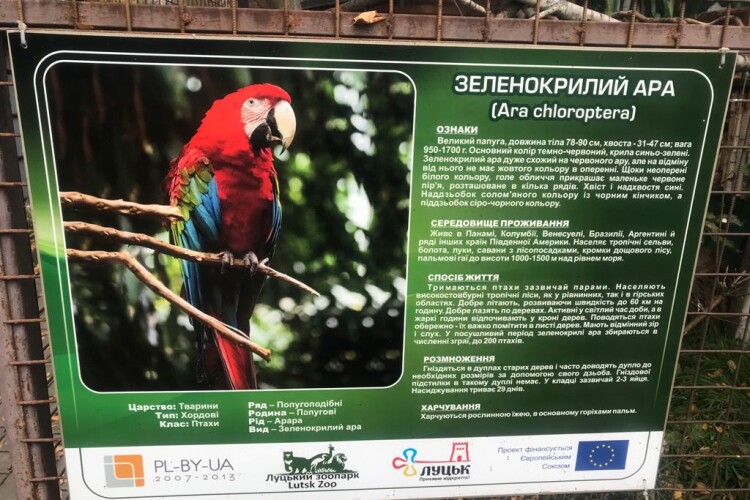 У Луцькому зоопарку вкрали папуг ара