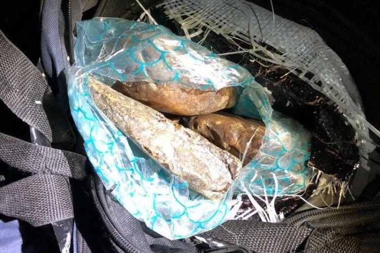 Контрабандисти хотіли вивезти з України до ЄС понад тонну бурштину. Серед спільників - митник