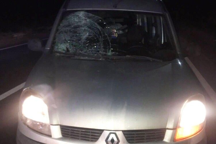 «Renault Kangoo» збив 33-річного пішохода