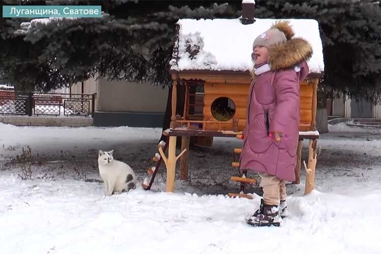 У Сватовому на Луганщині два будиночки для котів розмістили у самому центрі міста