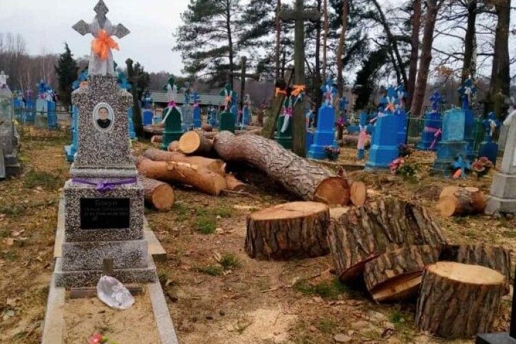 На сільському кладовищі на Волині ріжуть дерева