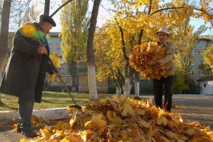 Гарний приклад: у Чернівцях створили пункт прийому опалого листя