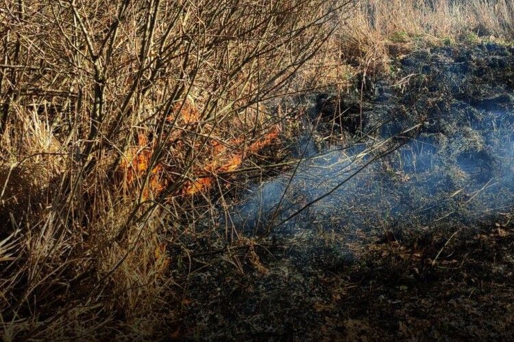 На Волині за добу ліквідували дві пожежі сухостою