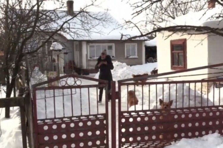 У селі на Рівненщині жінка утримує пів сотні собак