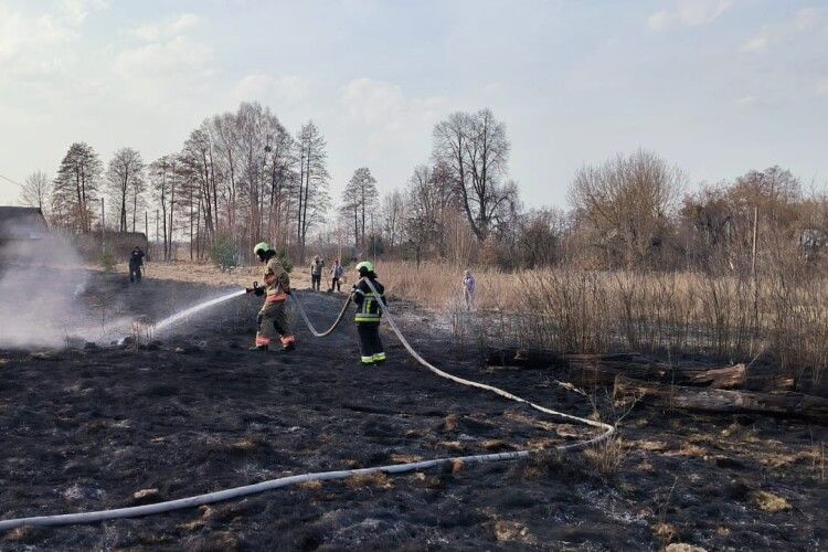 Вогонь ледь не перекинувся на будинки: волинські рятувальники годинами гасили пожежі