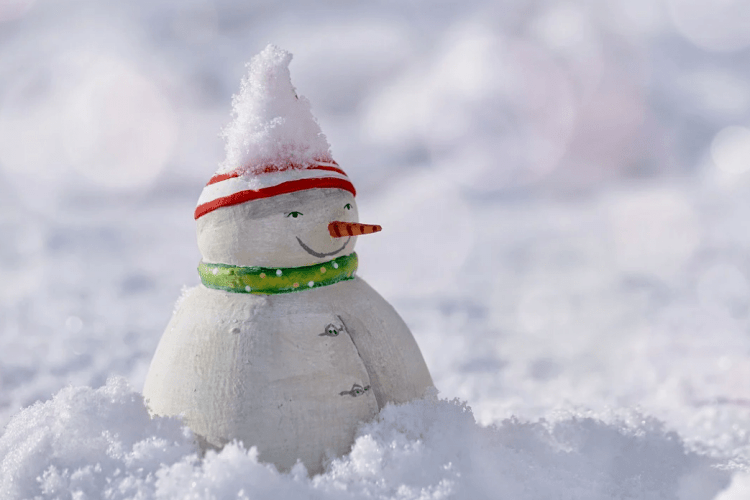 На Рівненщині оголосили конкурс на кращого сніговика