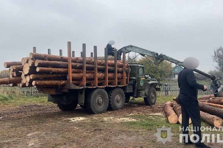 На Волині майстер лісу організував незаконну порубку дерев: збитки перевищують 800 тисяч гривень (Відео)