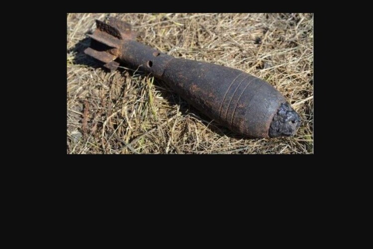 На Волині грибник знайшов небезпечний «трофей»