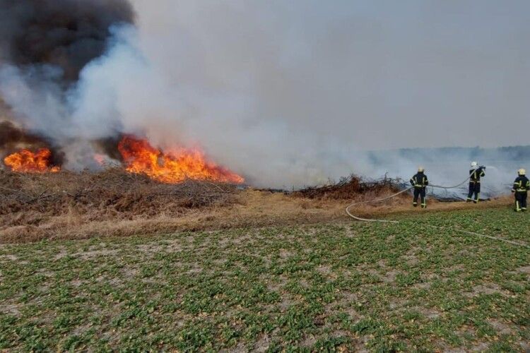 Знайшли винуватця великої пожежі у Луцькому районі