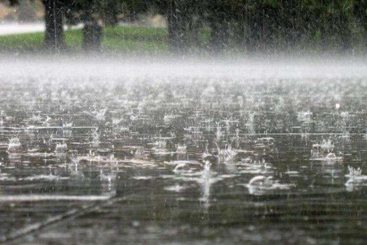 Зливи та грози: синоптики повідомили, якою буде погода на Волині