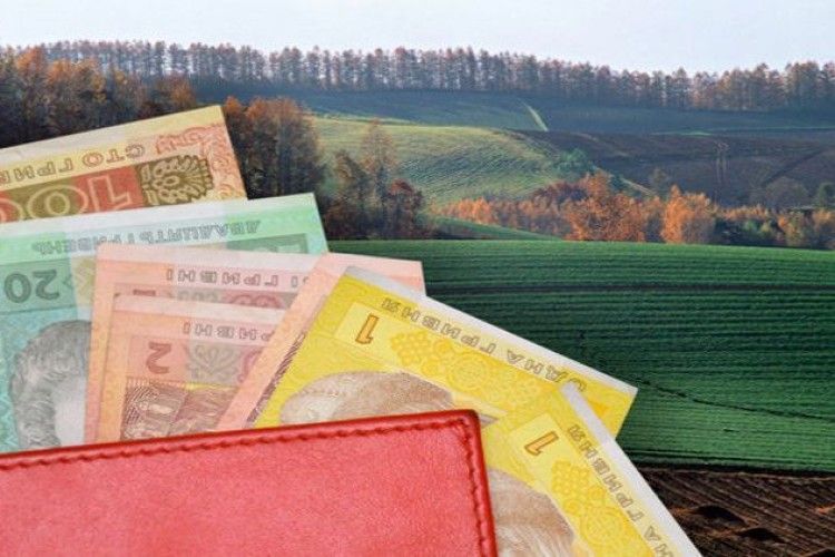Волинські прокурори домоглися повернення державі земельної ділянки зі ставком вартістю 4 млн. грн