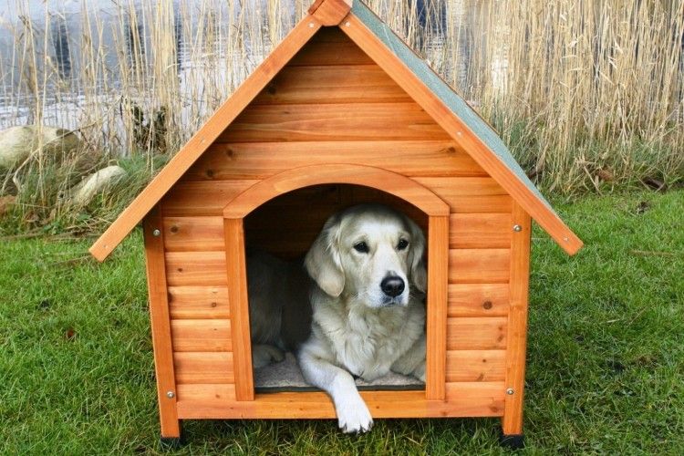 Охочі втерти носа Президентові Порошенку лучани збираються завтра на 12.00