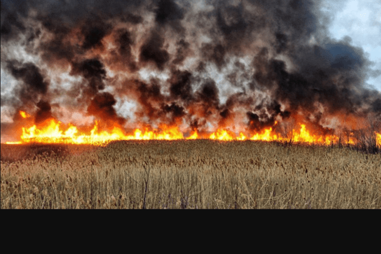 На Волині закликали громадян не ставати поплічниками путіна