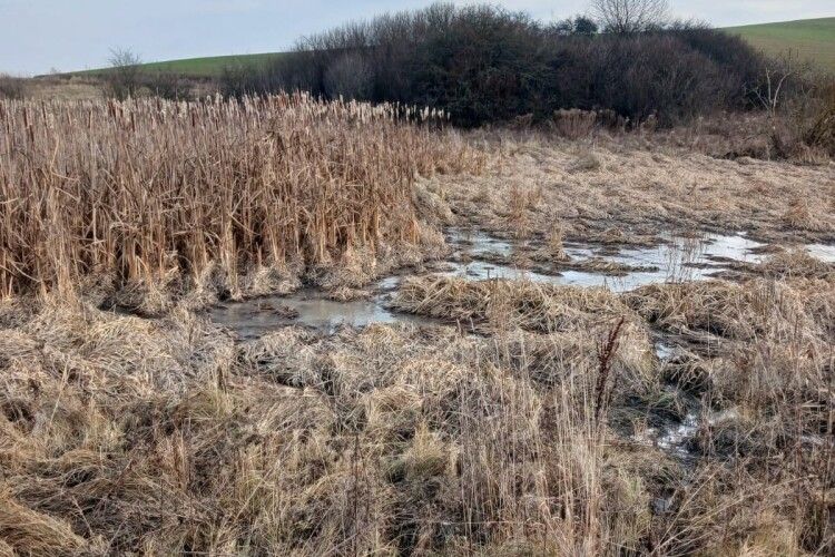 На Волині перевіряють масштабне забруднення земельних ділянок