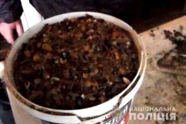 Двоє селян на Рівненщині зберігали удома бурштин на 280 тисяч гривень