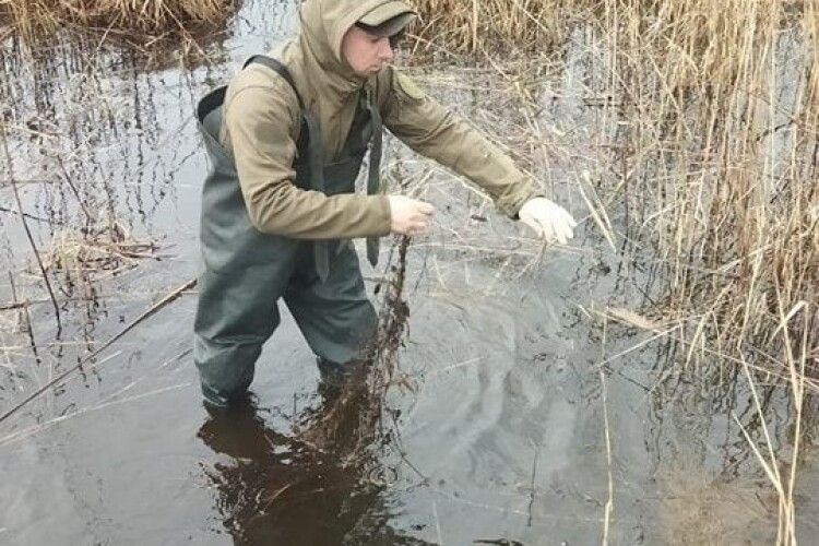 З водойм нацпарку на Волині дістали понад 20 браконьєрських знарядь лову