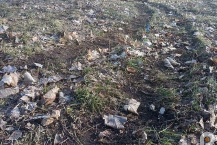 У колишньому райцентрі на Волині дрифтери понищили футбольне поле