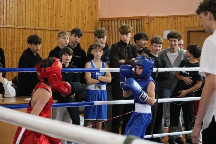 Прибуло 18 команд: у Горохові відбувся великий боксерський турнір 