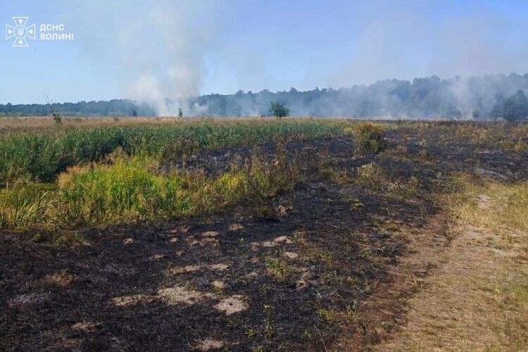 У двох районах Волині палав сухостій та чагарники