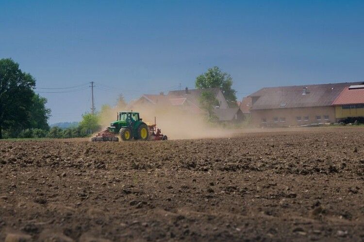 На Волині аграрій заплатить пів мільйона гривень, бо незаконно зайняв 14 гектарів землі