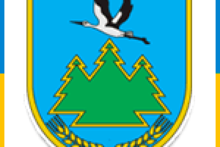 Колківська селищна рада візьме участь у проекті