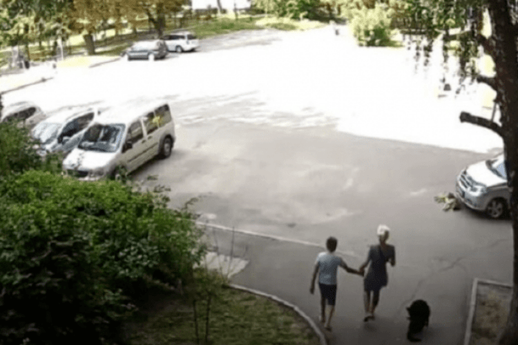 На очах у дітей: водій переїхав собаку й навіть не зупинився (Відео 18+)