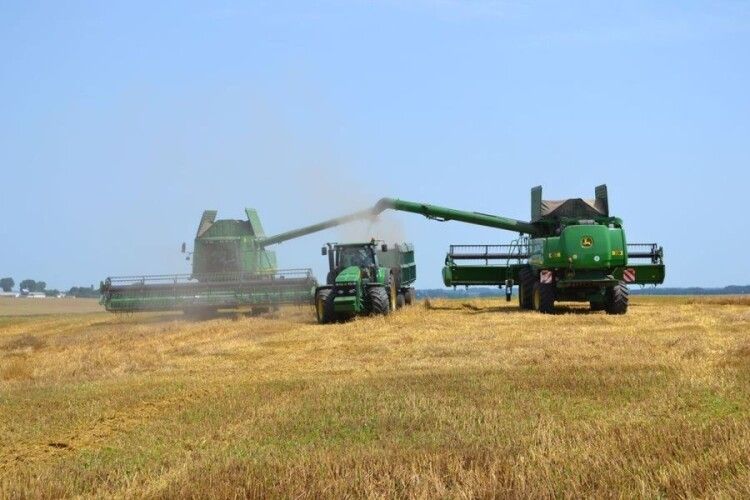 В Україні зібрано майже 52 млн тонн зерна